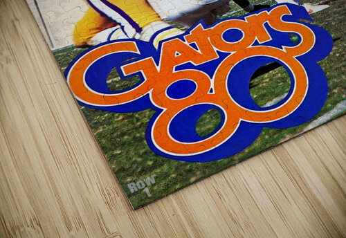 1980 Florida Gators Football Art Remix Row One Brand puzzle