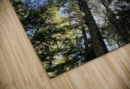 IMG 8419 Trpnhipy puzzle