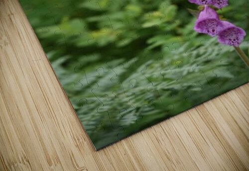 IMG 1194 Trpnhipy puzzle