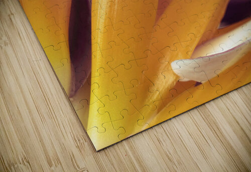 Heliconia flower Assaf Frank puzzle