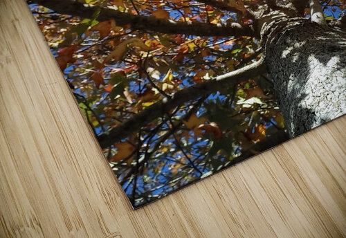 AUTUMN TREE Kayleigh Brink puzzle