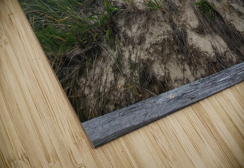 20230607 161605 Rochelle Marcus puzzle