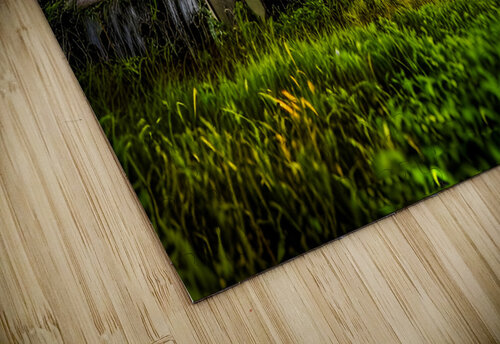 Abandoned farm reclaimed by Mother Nature Joseph Scaglione III puzzle