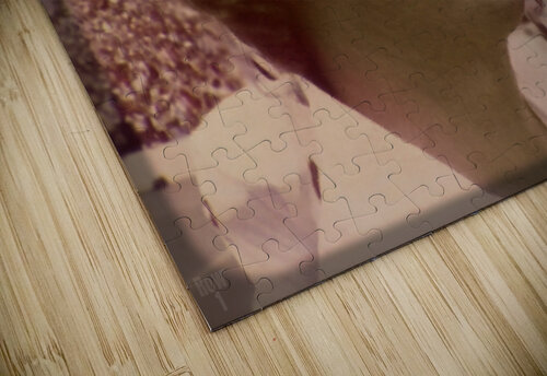 1977 Oklahoma Football Viewfinder Slide Art Row One Brand puzzle