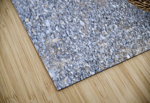 Canard en ville Melissa Lefebvre puzzle