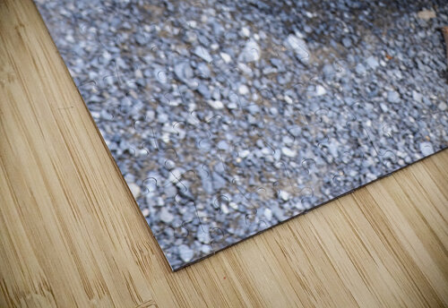 Canard perdu  Melissa Lefebvre puzzle