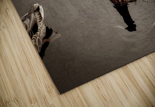 Canard style sepia Melissa Lefebvre puzzle