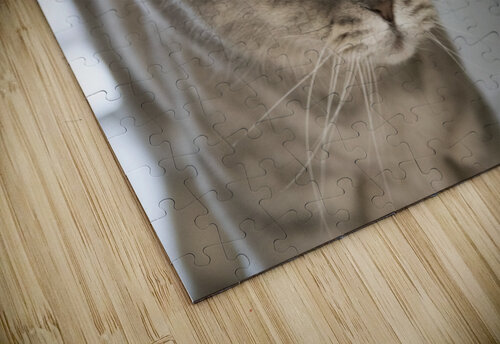 Mon Chat et moi Melissa Lefebvre puzzle