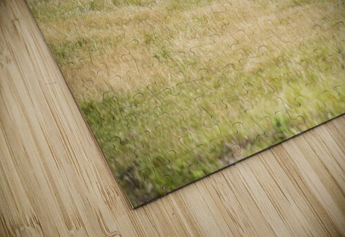 Cheval au galop Melissa Lefebvre puzzle