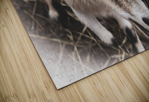 A la ferme Melissa Lefebvre puzzle