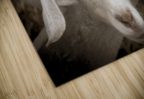 Chevre et desepoire sepia Melissa Lefebvre puzzle