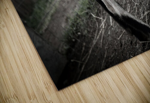 Chevreau qui mange Melissa Lefebvre puzzle