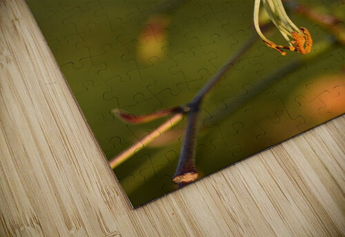 Fleur dautomne lys Melissa Lefebvre puzzle