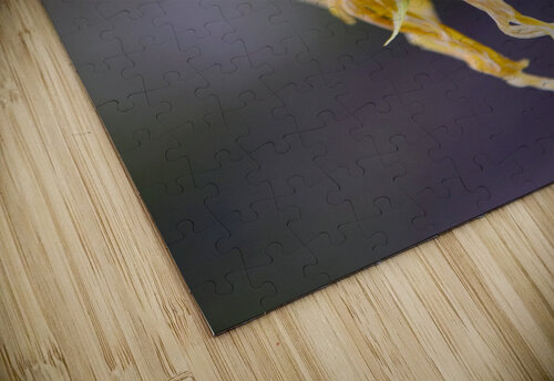 Tournesol en fin de vie Melissa Lefebvre puzzle