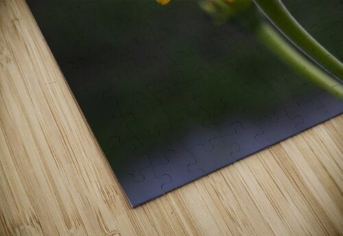 Fleurs jaune magnifique Melissa Lefebvre puzzle