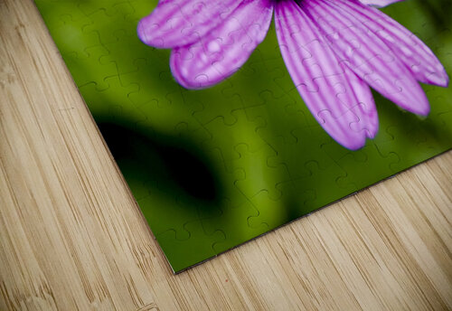 Anemone Melissa Lefebvre puzzle