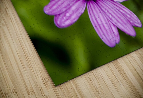 Anemone 2 Melissa Lefebvre puzzle