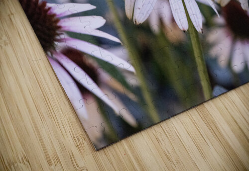 Echinace macro Melissa Lefebvre puzzle