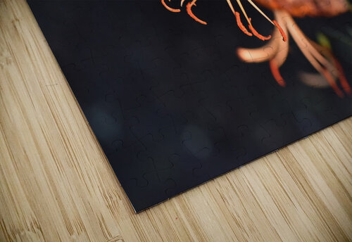 Fleur dete decorative Melissa Lefebvre puzzle