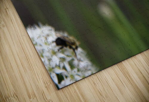 outside 00052 8 Melissa Lefebvre puzzle