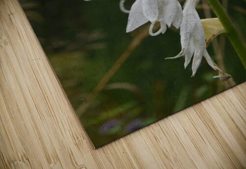 Fleur Blanche Melissa Lefebvre puzzle