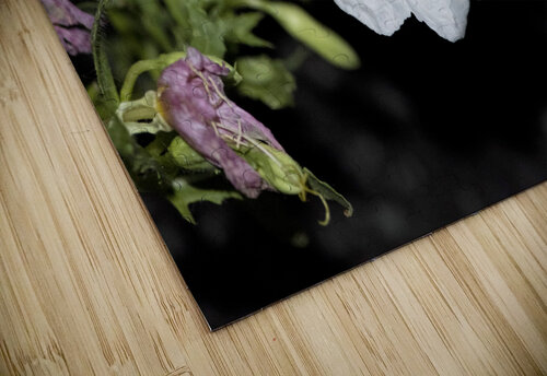 Projet qqq20190905 0174 Melissa Lefebvre puzzle