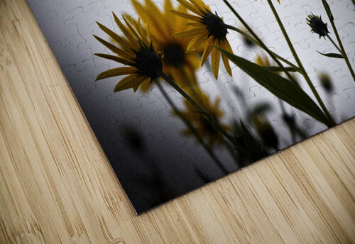 Decorative wall flowers Melissa Lefebvre puzzle