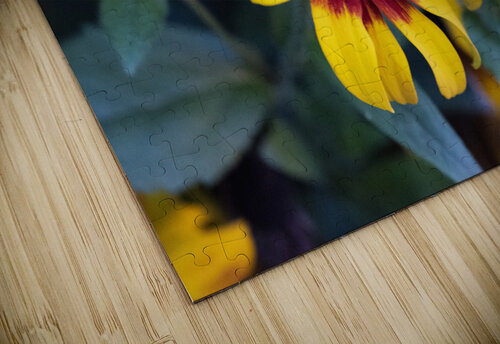 Margurerite eclatante Melissa Lefebvre puzzle