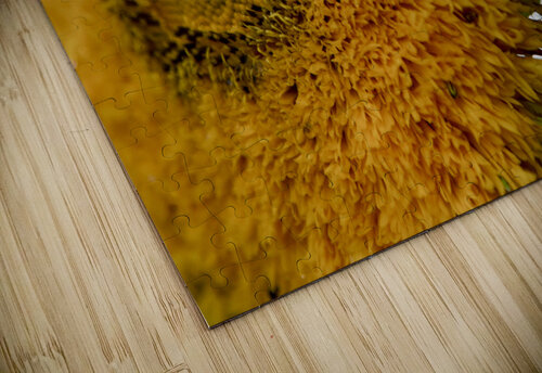 Tournesol big macro Melissa Lefebvre puzzle