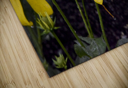 Pluie et deception Melissa Lefebvre puzzle