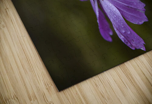 Cosmos sous la pluie Melissa Lefebvre puzzle