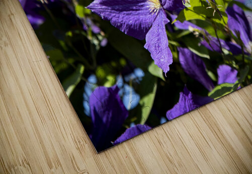 Plante mauve clematis Melissa Lefebvre puzzle