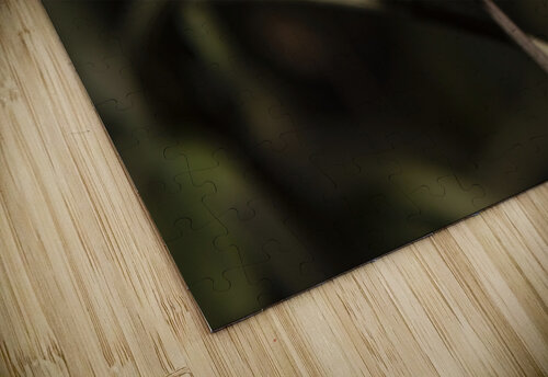 photos 002 461 Melissa Lefebvre puzzle