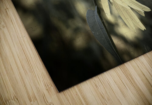 Decorative fleurs dete Melissa Lefebvre puzzle