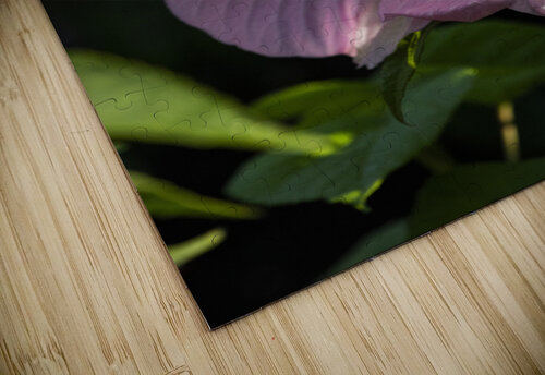 Hibiscus rose Melissa Lefebvre puzzle