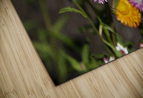 Immortel Melissa Lefebvre puzzle