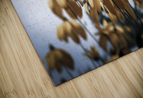 Champs de tournesol Melissa Lefebvre puzzle