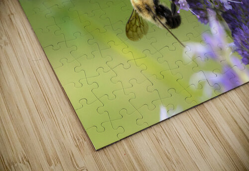 Abeille au travaille Melissa Lefebvre puzzle