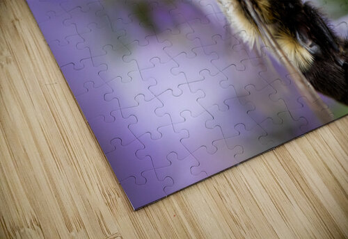 Macro Abeille incroyable Melissa Lefebvre puzzle