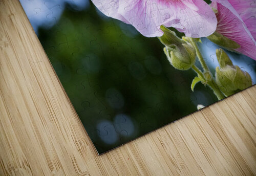 Fleur butiner ete Melissa Lefebvre puzzle