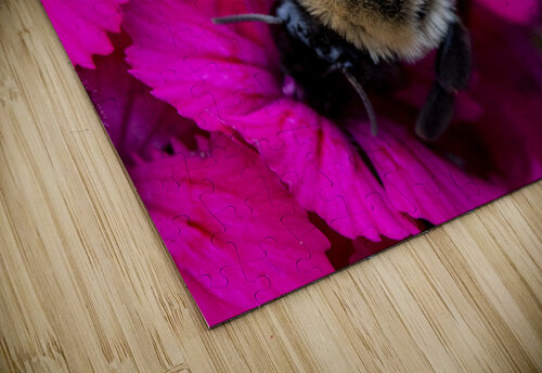 Macro abeille 3 Melissa Lefebvre puzzle