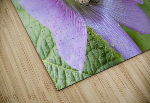  Pollen Collector: Close-Up of Bee on Pink Hibiscus Melissa Lefebvre puzzle