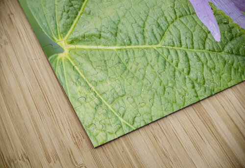 Natures Harmony: Macro Image of Bee on Hibiscus Melissa Lefebvre puzzle
