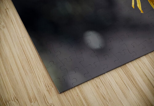 Macro Majesty: Monarch Butterfly and Flowers 2 Melissa Lefebvre puzzle