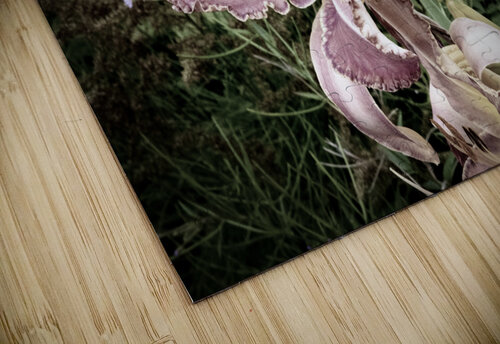 Desaturated Elegance: Lys Photograph Melissa Lefebvre puzzle