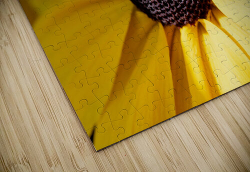 Exploration detaillee : Decouvrez la splendeur dun rudbeckia en gros plan macro Melissa Lefebvre puzzle