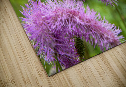 Fleurs eponge: Lelegance saisissante en macro Melissa Lefebvre puzzle