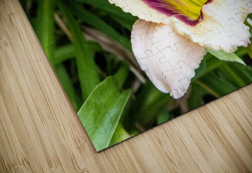 Elegance florale : Lys blanc captivant entoure de feuillus verdoyants Melissa Lefebvre puzzle