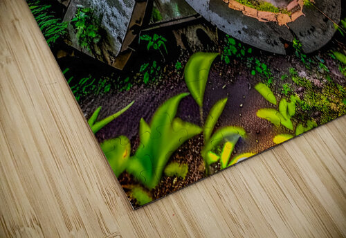 Ithaca Gun Sunset Art canvas Joseph Scaglione III puzzle