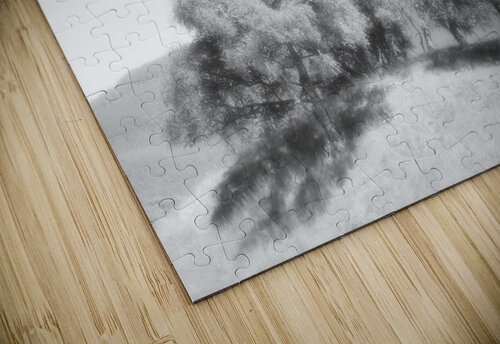 We Three Trees of the Scottish Highlands in High Glossy Monochrome Catriona Roberts Nature Photography and Designs puzzle